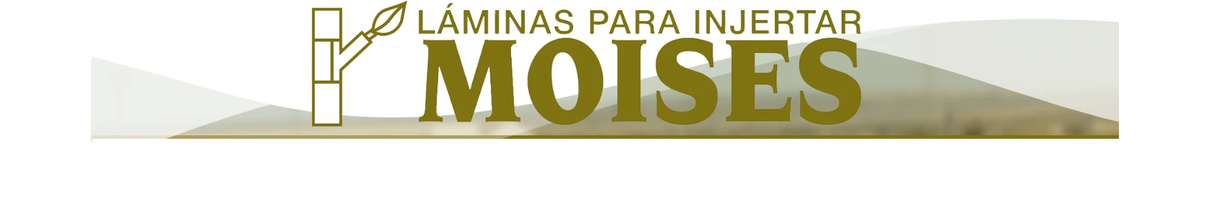 laminas para injertar
